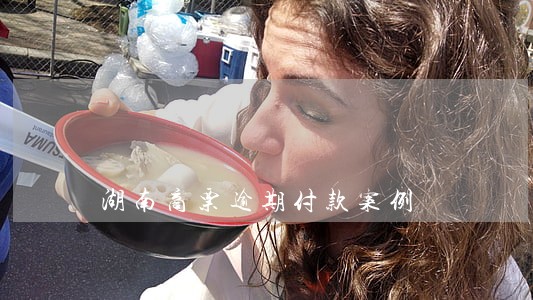湖南商票逾期付款案例 湖南商票逾期付款案例