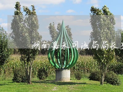 湖南嘉禾司法局局长是谁 湖南嘉禾司法局局长是谁