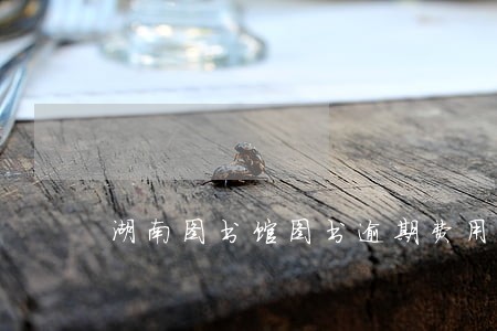 湖南图书馆图书逾期费用 湖南图书馆图书逾期费用