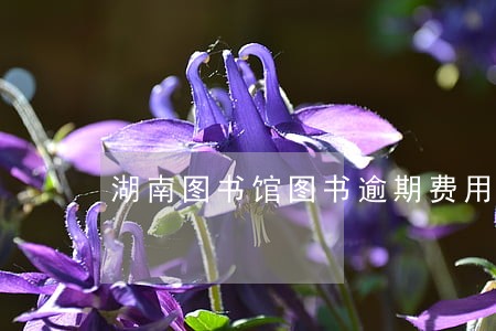 湖南图书馆图书逾期费用如何缴纳 湖南图书馆图书逾期费用如何缴纳
