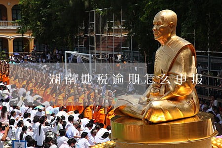 湖南地税逾期怎么申报 湖南地税逾期怎么申报