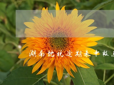 湖南地税逾期未申报怎么办 湖南地税逾期未申报怎么办