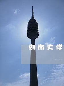 湖南大学法学院民法 湖南大学法学院民法