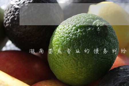 湖南娄底专业的债务纠纷律师推荐 湖南娄底专业的债务纠纷律师推荐