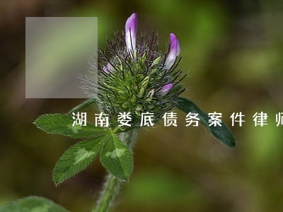 湖南娄底债务案件律师收费 湖南娄底债务案件律师收费