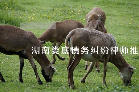 湖南娄底债务纠纷律师推荐 湖南娄底债务纠纷律师推荐