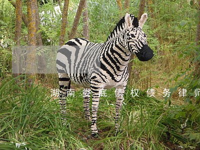 湖南娄底债权债务律师收费标准 湖南娄底债权债务律师收费标准