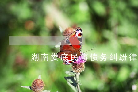 湖南娄底民事债务纠纷律师事务所 湖南娄底民事债务纠纷律师事务所