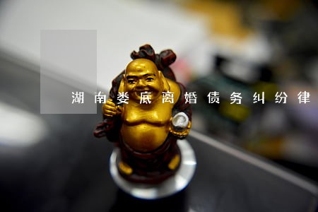 湖南娄底离婚债务纠纷律师网站 湖南娄底离婚债务纠纷律师网站
