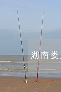 湖南娄底聘请债权债务律师电话 湖南娄底聘请债权债务律师电话