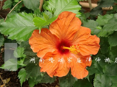 湖南婚姻家庭律师排名 湖南婚姻家庭律师排名