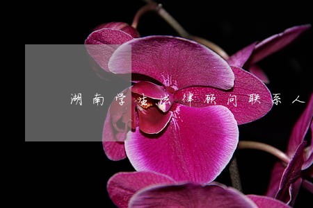 湖南学生法律顾问联系人 湖南学生法律顾问联系人
