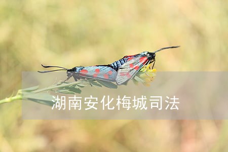 湖南安化梅城司法 湖南安化梅城司法