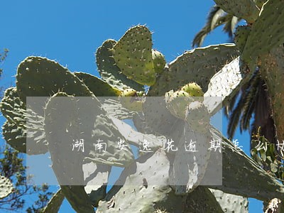 湖南安逸花逾期怎么协商 湖南安逸花逾期怎么协商