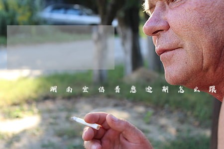 湖南宜信普惠逾期怎么跟银行协商 湖南宜信普惠逾期怎么跟银行协商