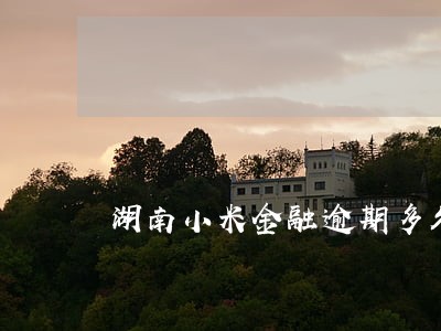 湖南小米金融逾期多久上征信 湖南小米金融逾期多久上征信