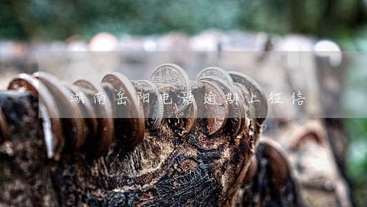 湖南岳阳电话逾期上征信 湖南岳阳电话逾期上征信