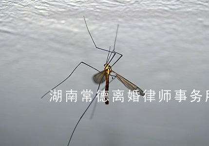 湖南常德离婚律师事务所 湖南常德离婚律师事务所