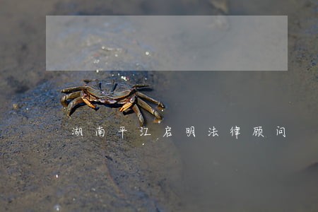 湖南平江启明法律顾问