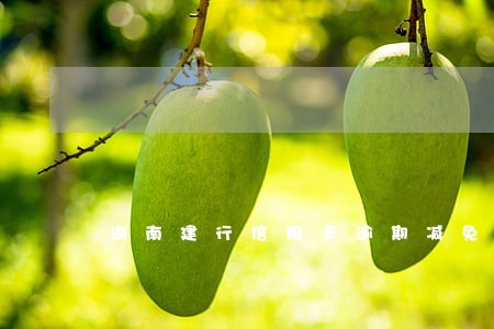 湖南建行信用卡逾期减免利息