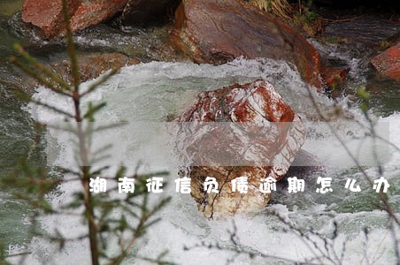湖南征信负债逾期怎么办 湖南征信负债逾期怎么办