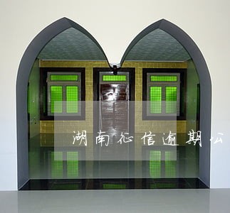 湖南征信逾期公司 湖南征信逾期公司