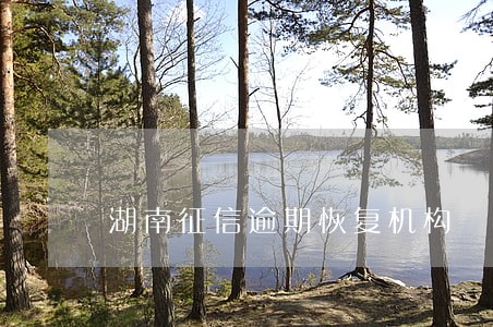 湖南征信逾期恢复机构 湖南征信逾期恢复机构