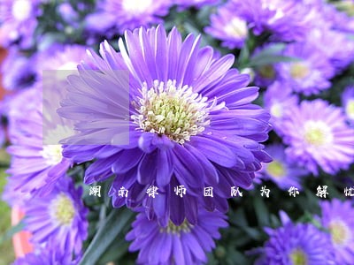 湖南律师团队为你解忧 湖南律师团队为你解忧