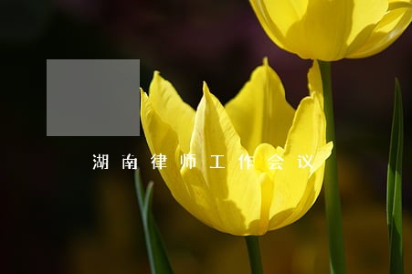湖南律师工作会议 湖南律师工作会议