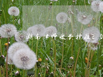 湖南律师收费标准2018