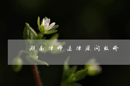 湖南律师法律顾问报价 湖南律师法律顾问报价