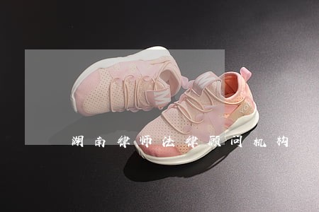 湖南律师法律顾问机构 湖南律师法律顾问机构