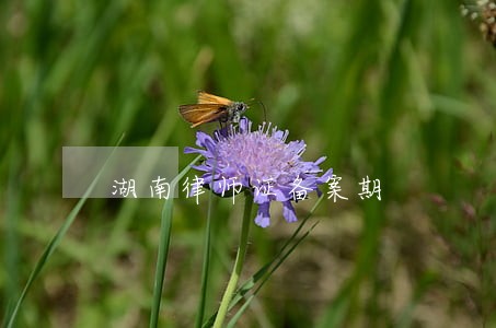 湖南律师证备案期 湖南律师证备案期