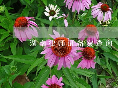 湖南律师证备案查询 湖南律师证备案查询
