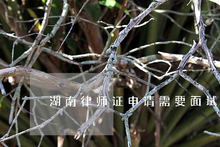 湖南律师证申请需要面试吗 湖南律师证申请需要面试吗