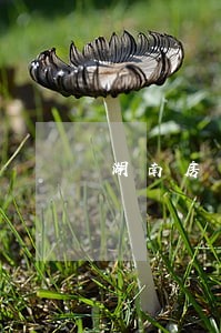 湖南房产继承律师咨询 湖南房产继承律师咨询