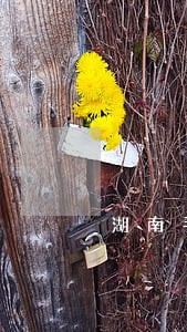 湖南手机号发信息说逾期 湖南手机号发信息说逾期