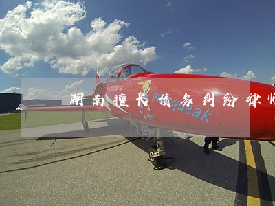 湖南擅长债务纠纷律师 湖南擅长债务纠纷律师