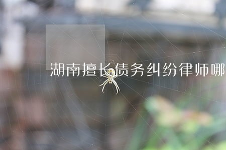 湖南擅长债务纠纷律师哪里找 湖南擅长债务纠纷律师哪里找