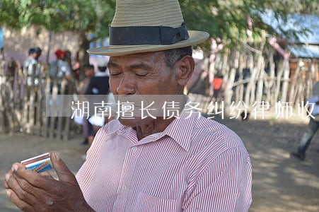 湖南擅长债务纠纷律师收费标准 湖南擅长债务纠纷律师收费标准