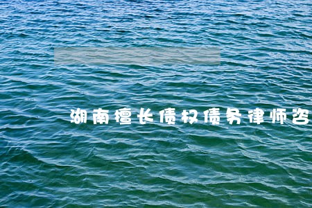 湖南擅长债权债务律师咨询 湖南擅长债权债务律师咨询