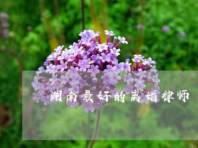 湖南最好的离婚律师 湖南最好的离婚律师