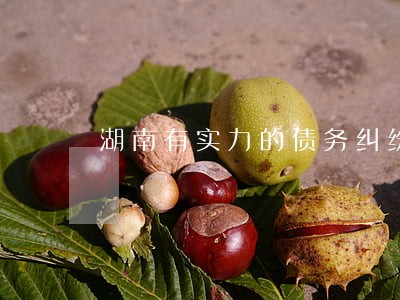 湖南有实力的债务纠纷律师推荐 湖南有实力的债务纠纷律师推荐