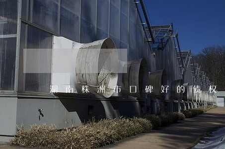 湖南株洲市口碑好的债权债务律师 湖南株洲市口碑好的债权债务律师