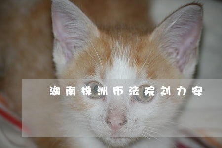 湖南株洲市法院刘力安
