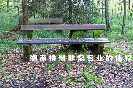 湖南株洲非常专业的债权债务律师 湖南株洲非常专业的债权债务律师