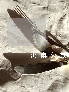 湖南欠款逾期案例 湖南欠款逾期案例