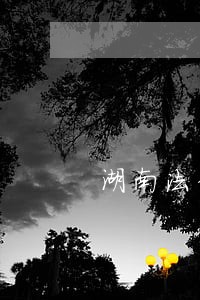 湖南法律咨询收费标准 湖南法律咨询收费标准