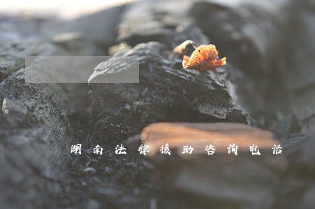 湖南法律援助咨询电话 湖南法律援助咨询电话
