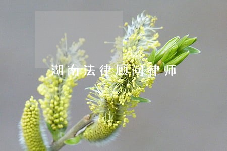 湖南法律顾问律师 湖南法律顾问律师